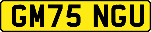 GM75NGU