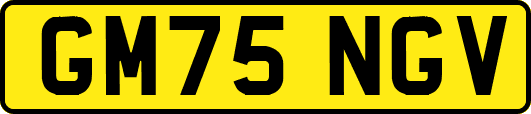 GM75NGV