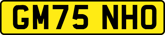 GM75NHO