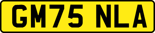 GM75NLA