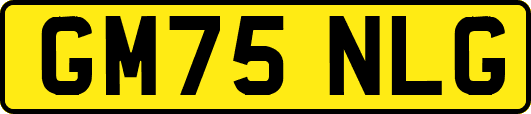 GM75NLG