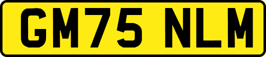 GM75NLM