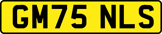 GM75NLS