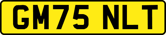 GM75NLT