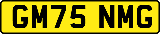 GM75NMG