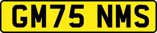 GM75NMS