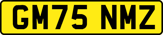 GM75NMZ
