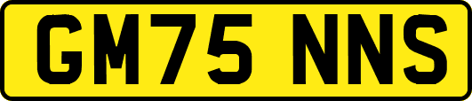 GM75NNS