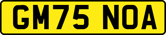 GM75NOA