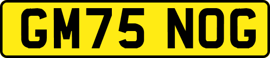 GM75NOG