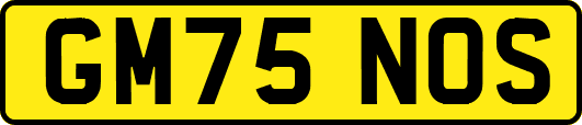 GM75NOS