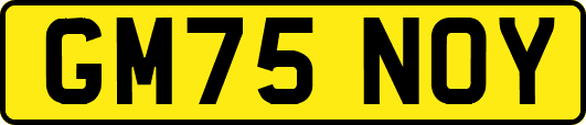 GM75NOY
