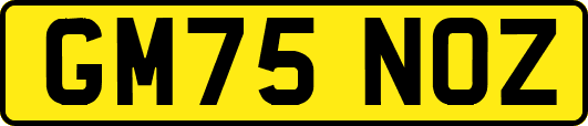 GM75NOZ