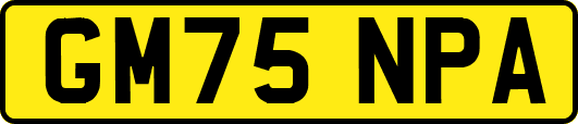 GM75NPA