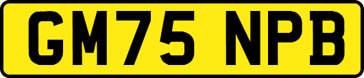 GM75NPB