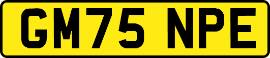 GM75NPE