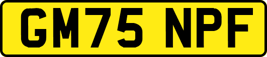 GM75NPF