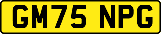 GM75NPG