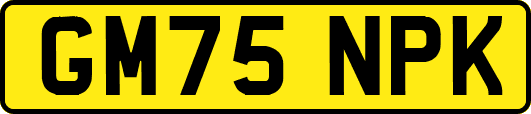 GM75NPK