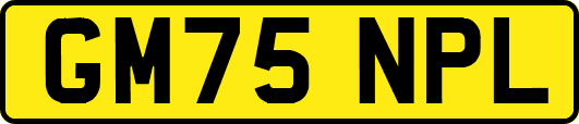 GM75NPL