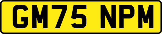 GM75NPM