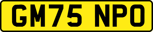 GM75NPO