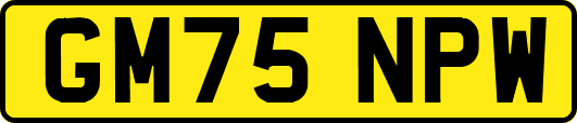 GM75NPW