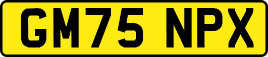 GM75NPX