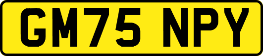 GM75NPY