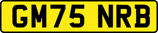 GM75NRB