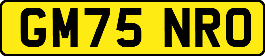 GM75NRO