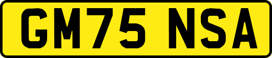 GM75NSA