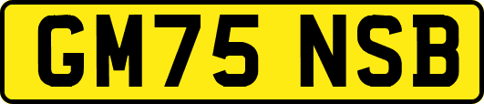 GM75NSB