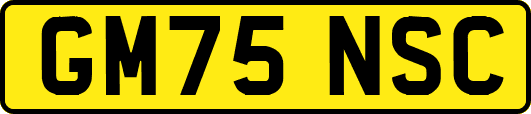 GM75NSC