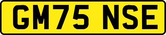 GM75NSE