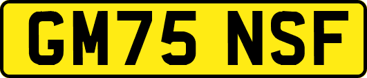 GM75NSF