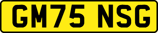 GM75NSG