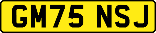 GM75NSJ