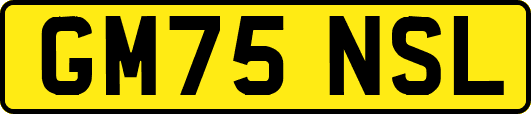 GM75NSL