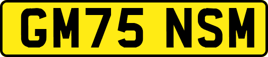 GM75NSM