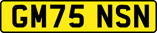 GM75NSN