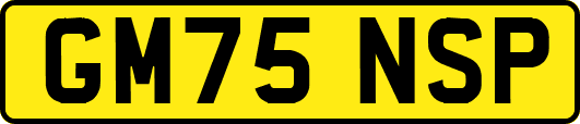 GM75NSP