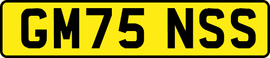 GM75NSS