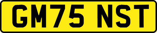 GM75NST