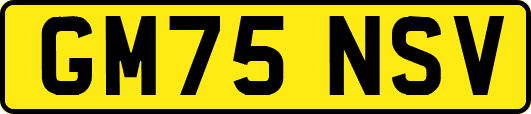 GM75NSV
