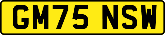 GM75NSW