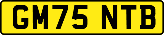 GM75NTB