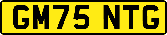GM75NTG