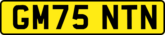 GM75NTN