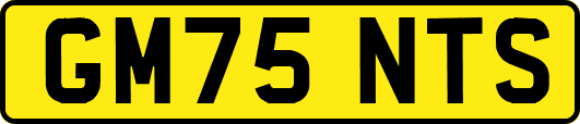 GM75NTS